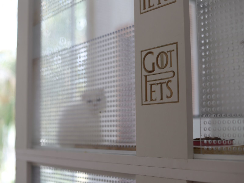 Cat hotel