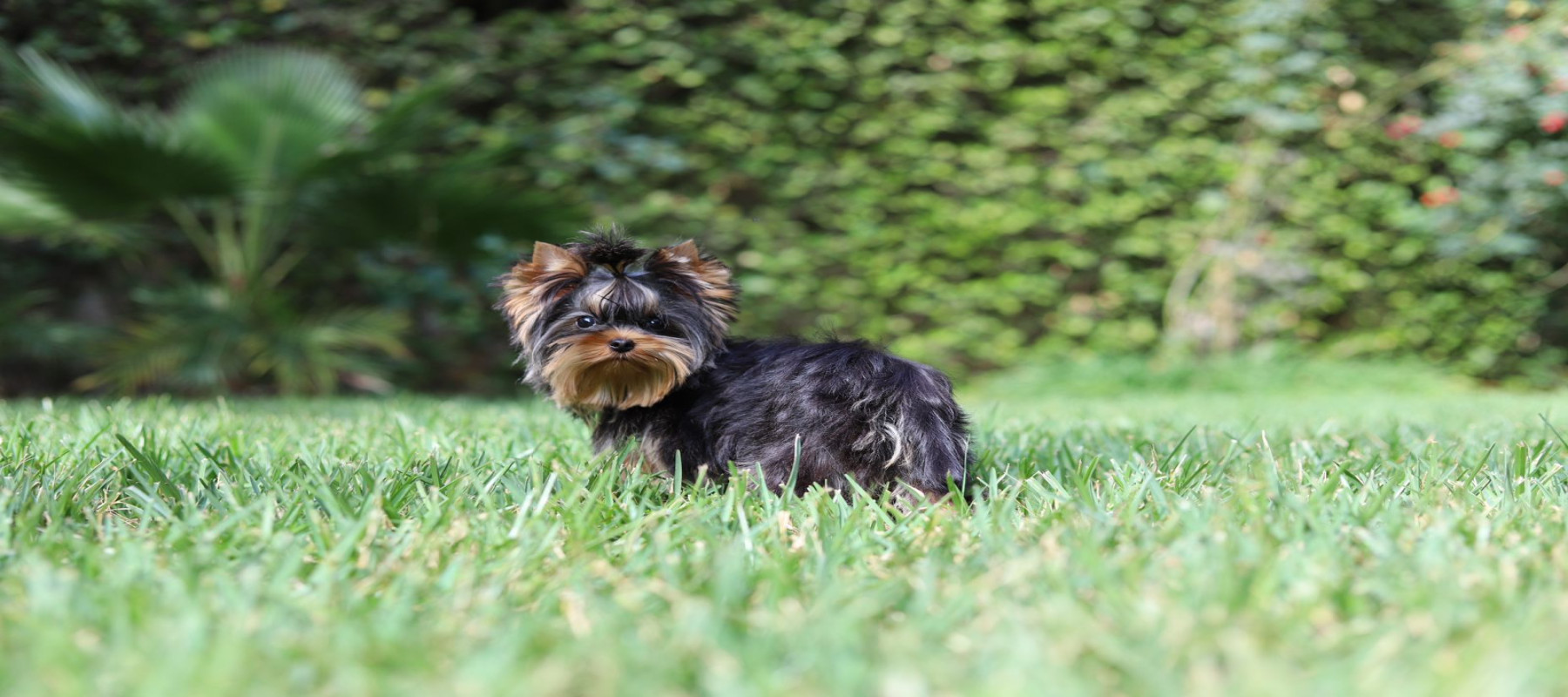 Slider 1